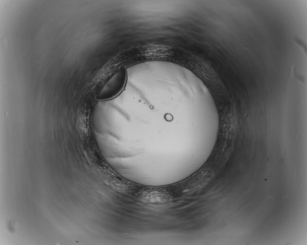 X0000100980755200807081243