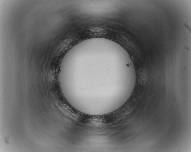 X0000100980756200807081243