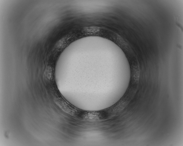 X0000100980758200807081243