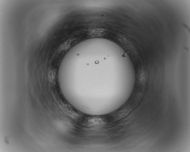 X0000100980759200807081243