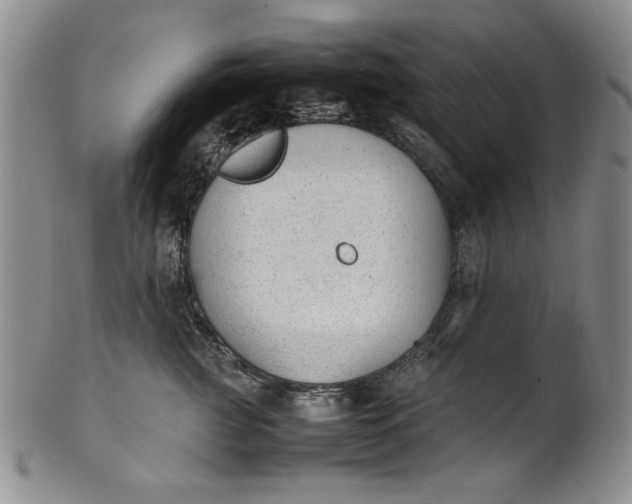 X0000100980761200807081243