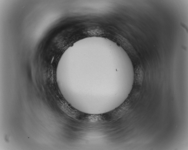 X0000100980762200807081243