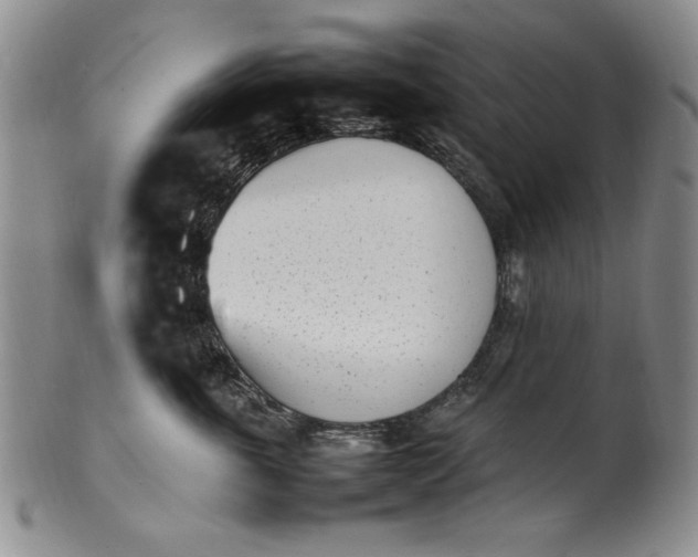 X0000100980763200807081243