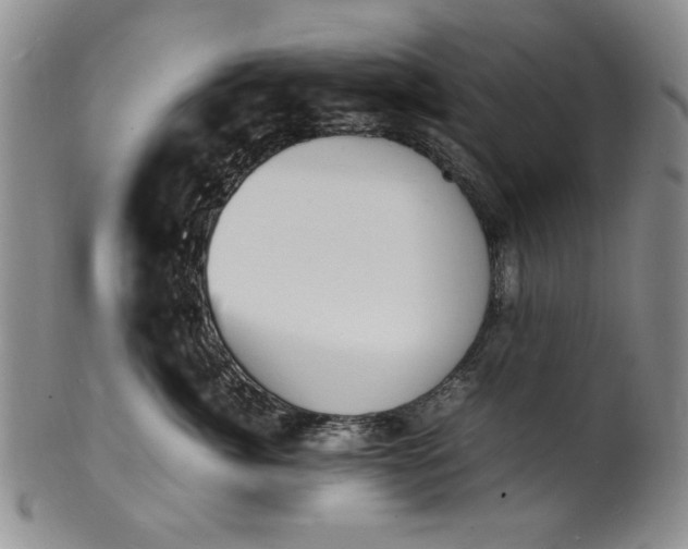 X0000100980764200807081243