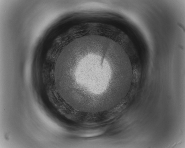 X0000100980765200807081243