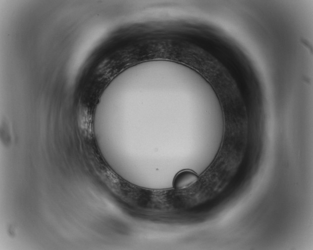 X0000100980766200807081243