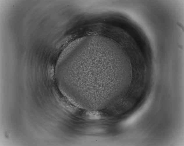 X0000100980767200807081243