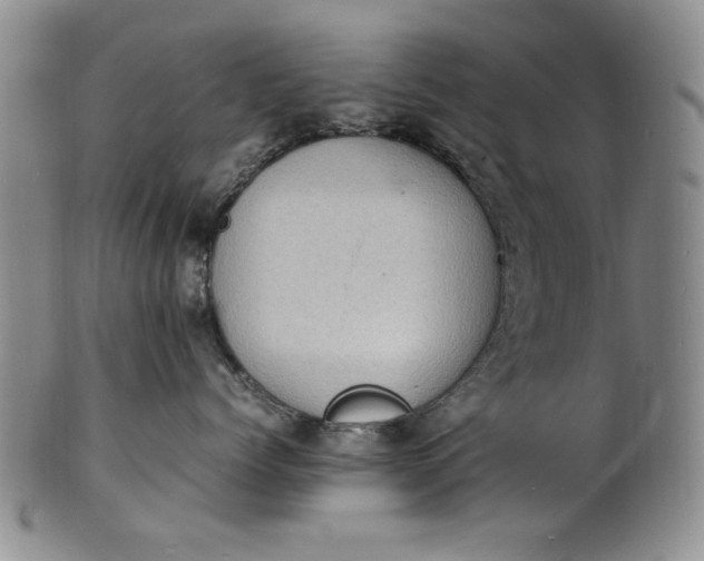 X0000100980768200807081243