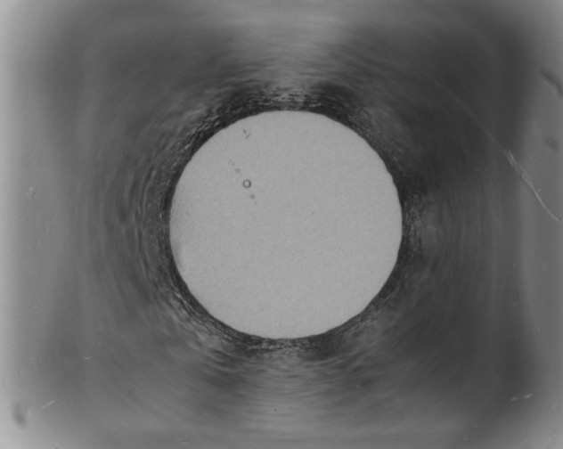 X0000100980769200807081243