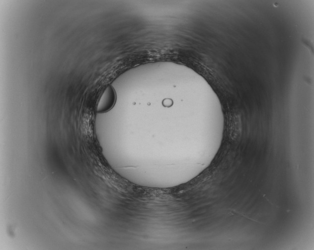 X0000100980770200807081243