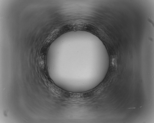 X0000100980771200807081243