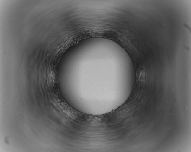 X0000100980772200807081243