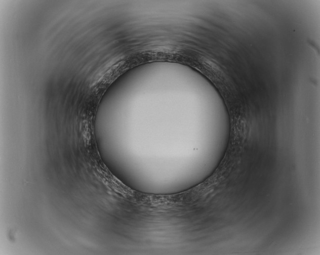 X0000100980774200807081243