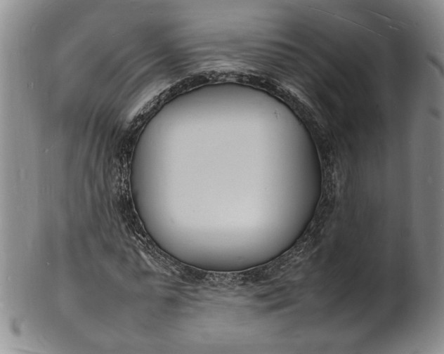 X0000100980775200807081242