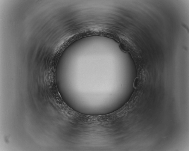 X0000100980776200807081242