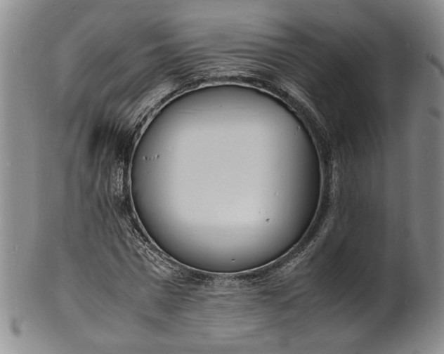 X0000100980777200807081242