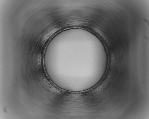 X0000100980778200807081242