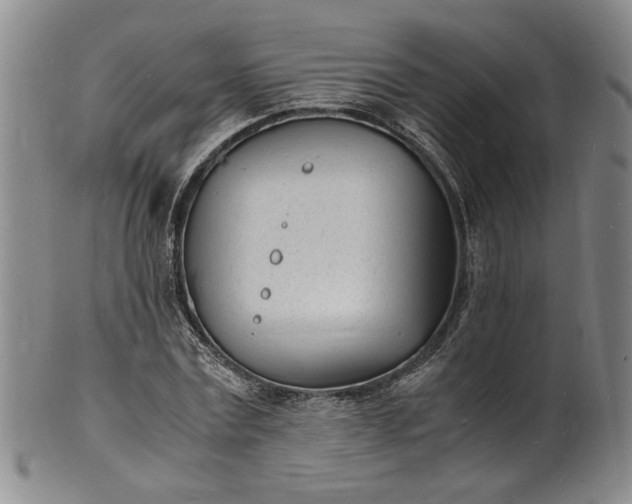 X0000100980779200807081242