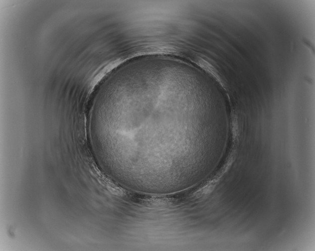 X0000100980781200807081242