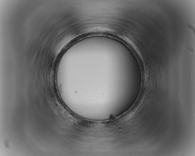 X0000100980783200807081242