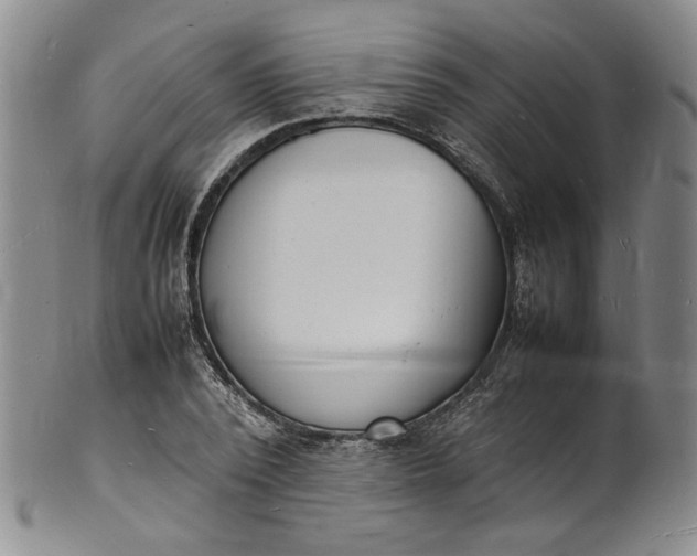 X0000100980784200807081242