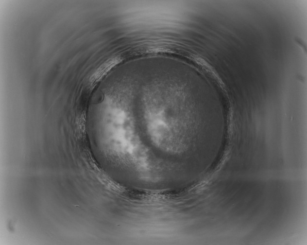 X0000100980785200807081242