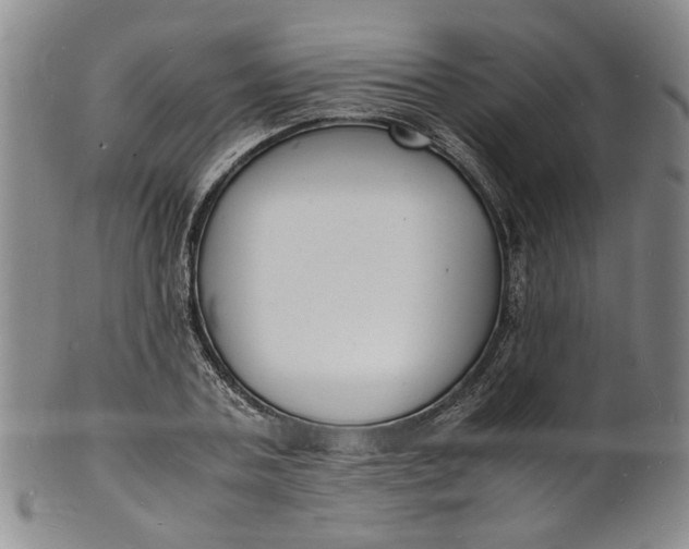 X0000100980787200807081242