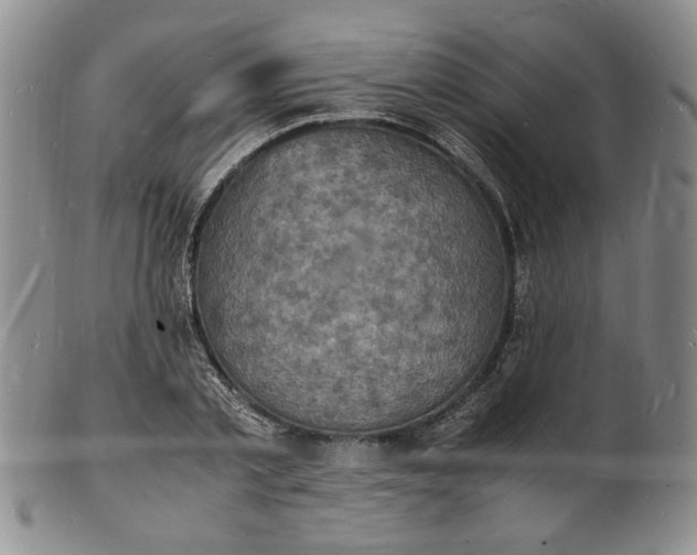 X0000100980789200807081242