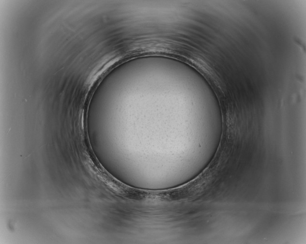 X0000100980790200807081242