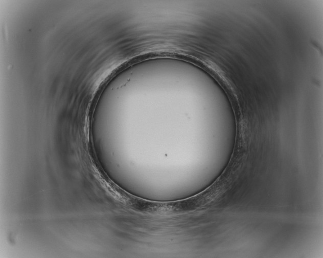 X0000100980791200807081242