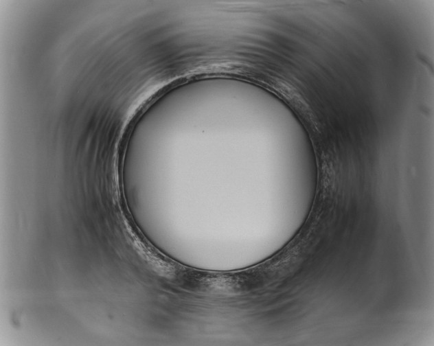 X0000100980792200807081242