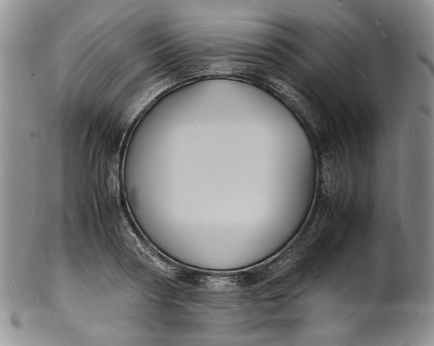 X0000100980794200807081242