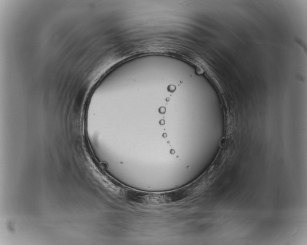 X0000100980795200807081242