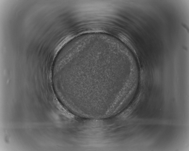 X0000100980797200807081242