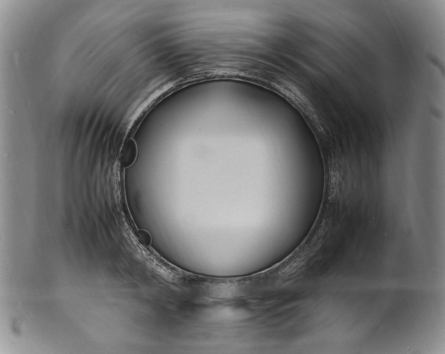 X0000100980798200807081242