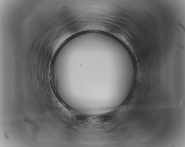 X0000100980799200807081242