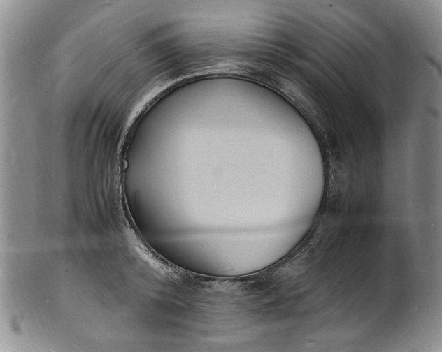 X0000100980800200807081242