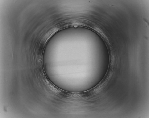 X0000100980801200807081242