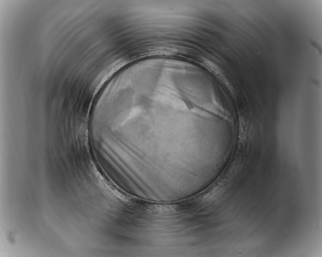 X0000100980802200807081242