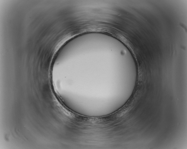 X0000100980803200807081242