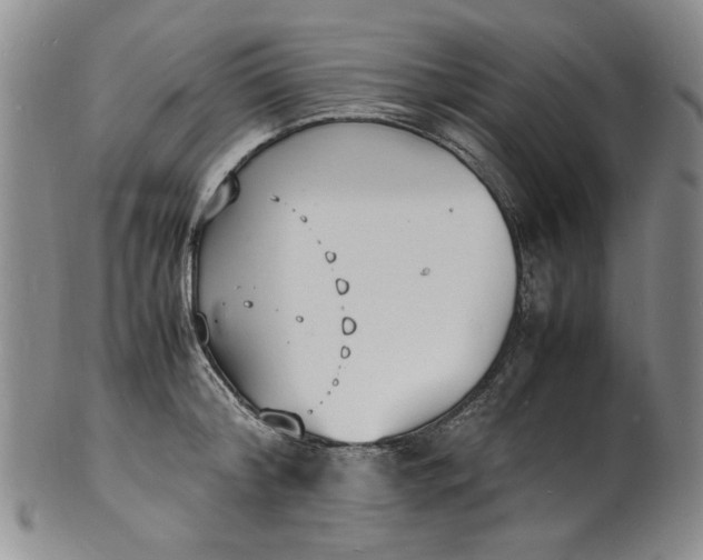 X0000100980804200807081242