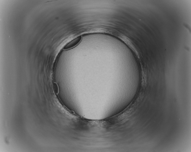 X0000100980805200807081242