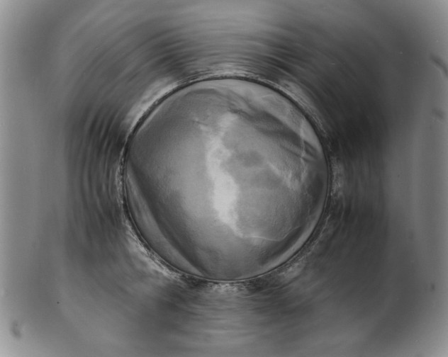 X0000100980806200807081242