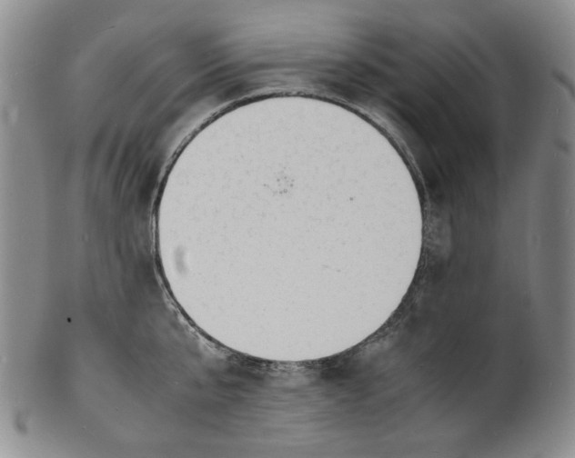 X0000100980807200807081242