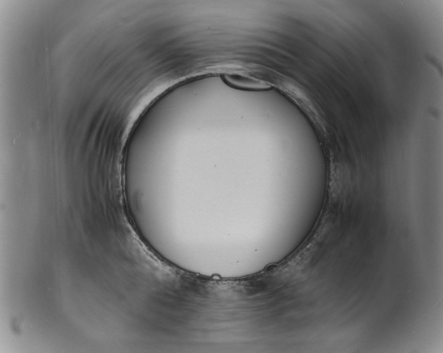 X0000100980808200807081242