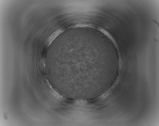 X0000100980809200807081242