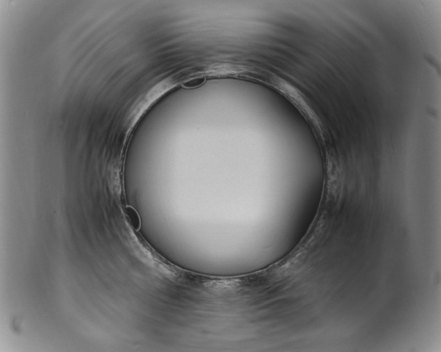 X0000100980810200807081242