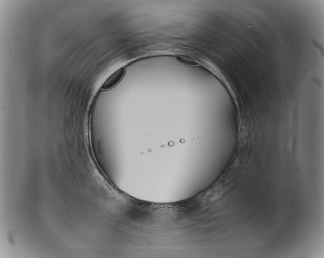 X0000100980811200807081242