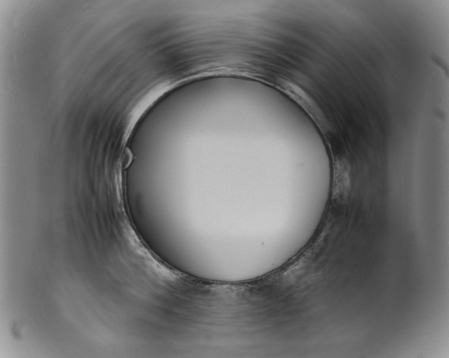 X0000100980812200807081242