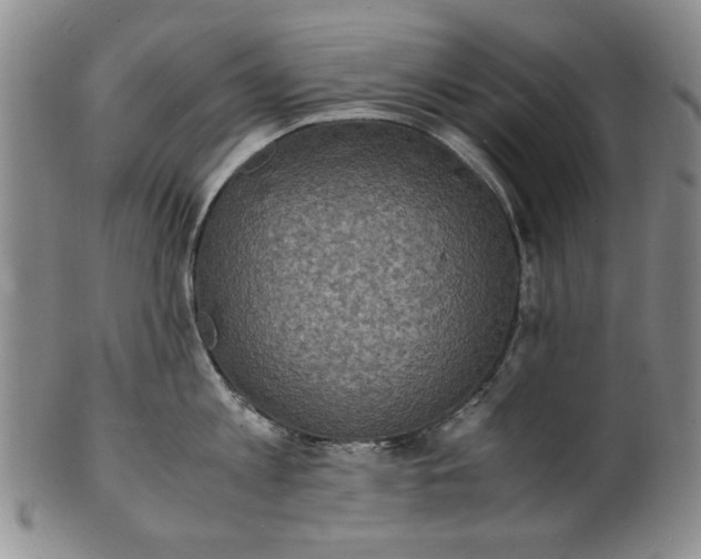 X0000100980813200807081242